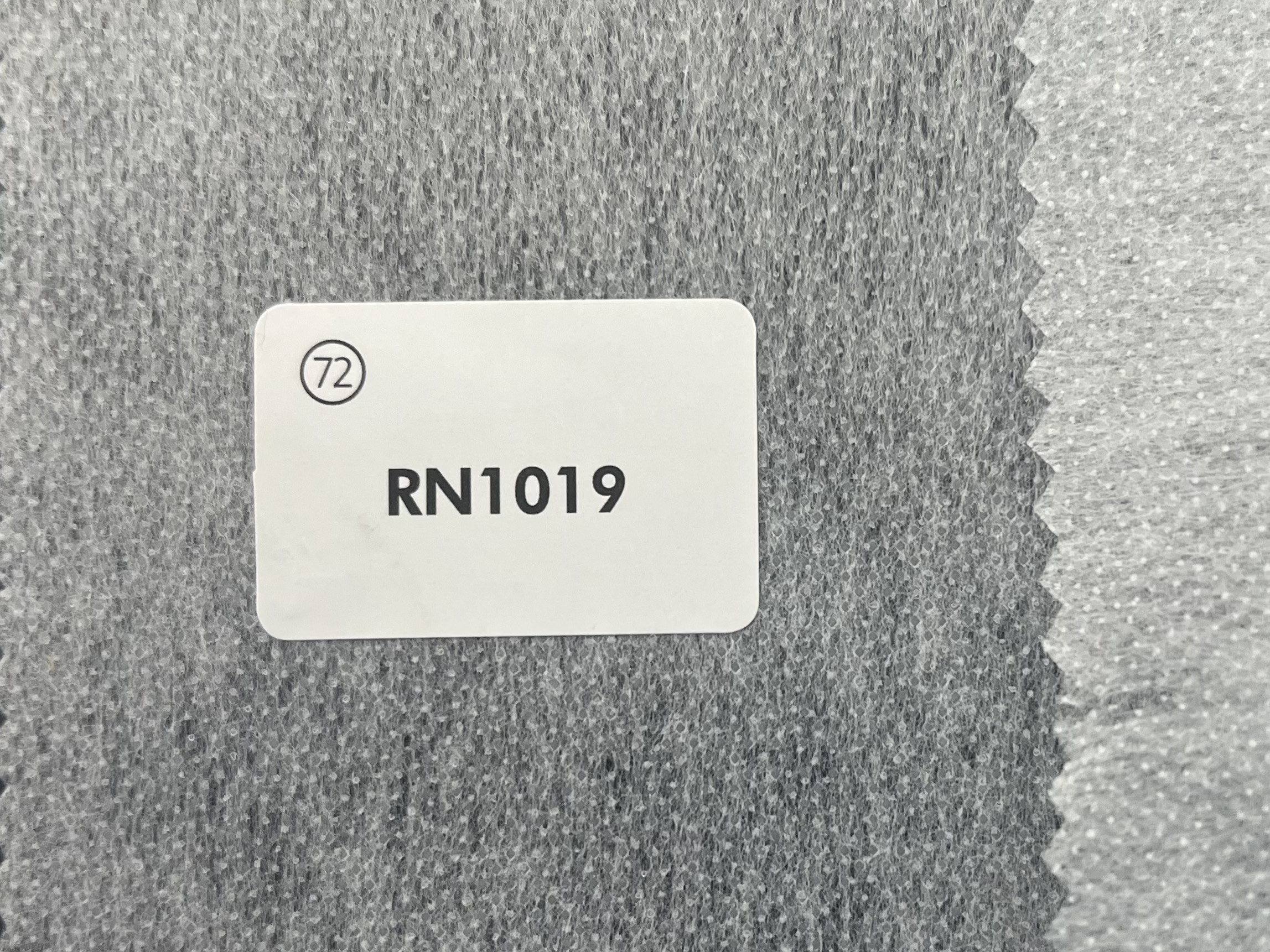 RN1019