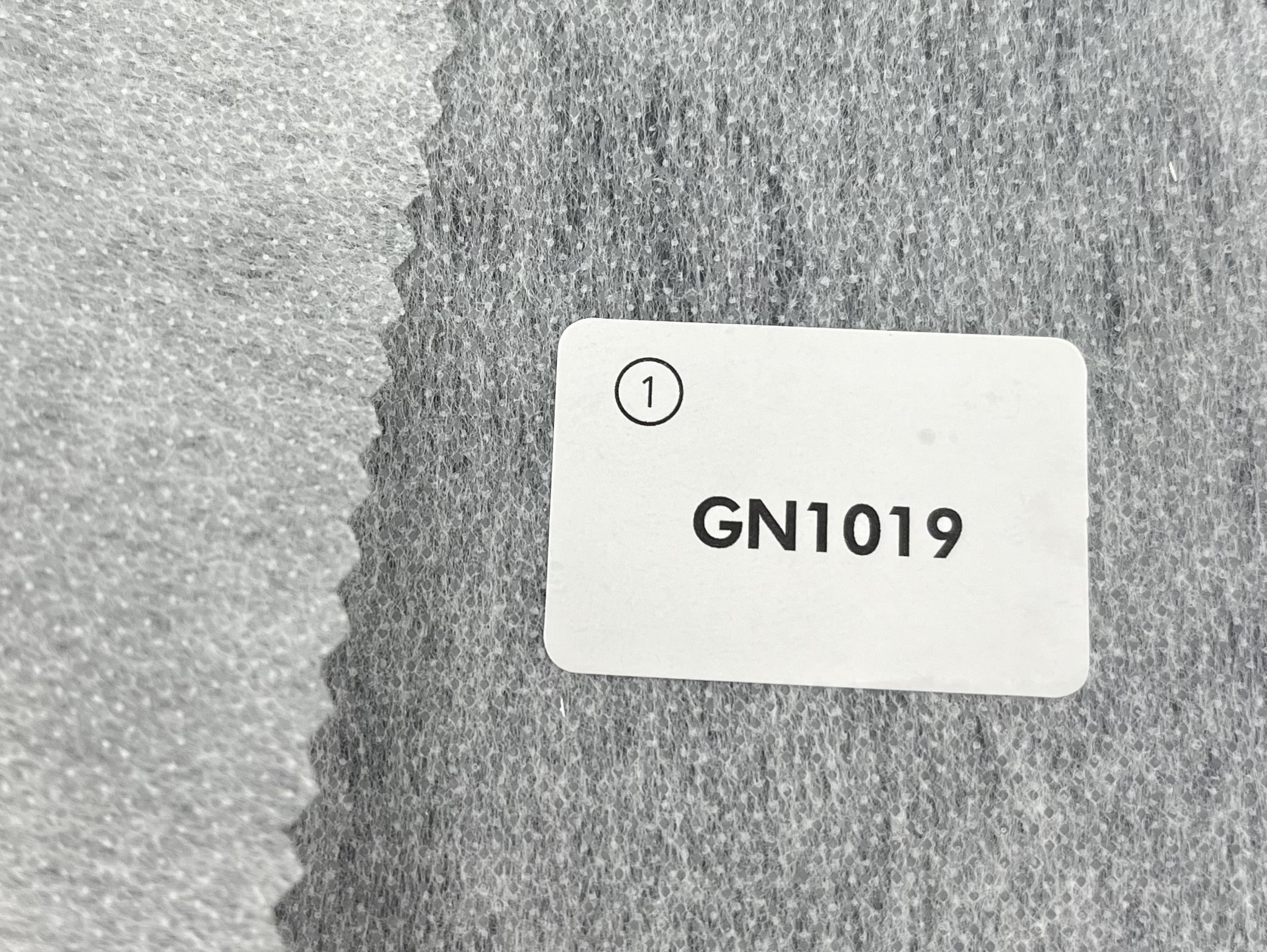 GN1019