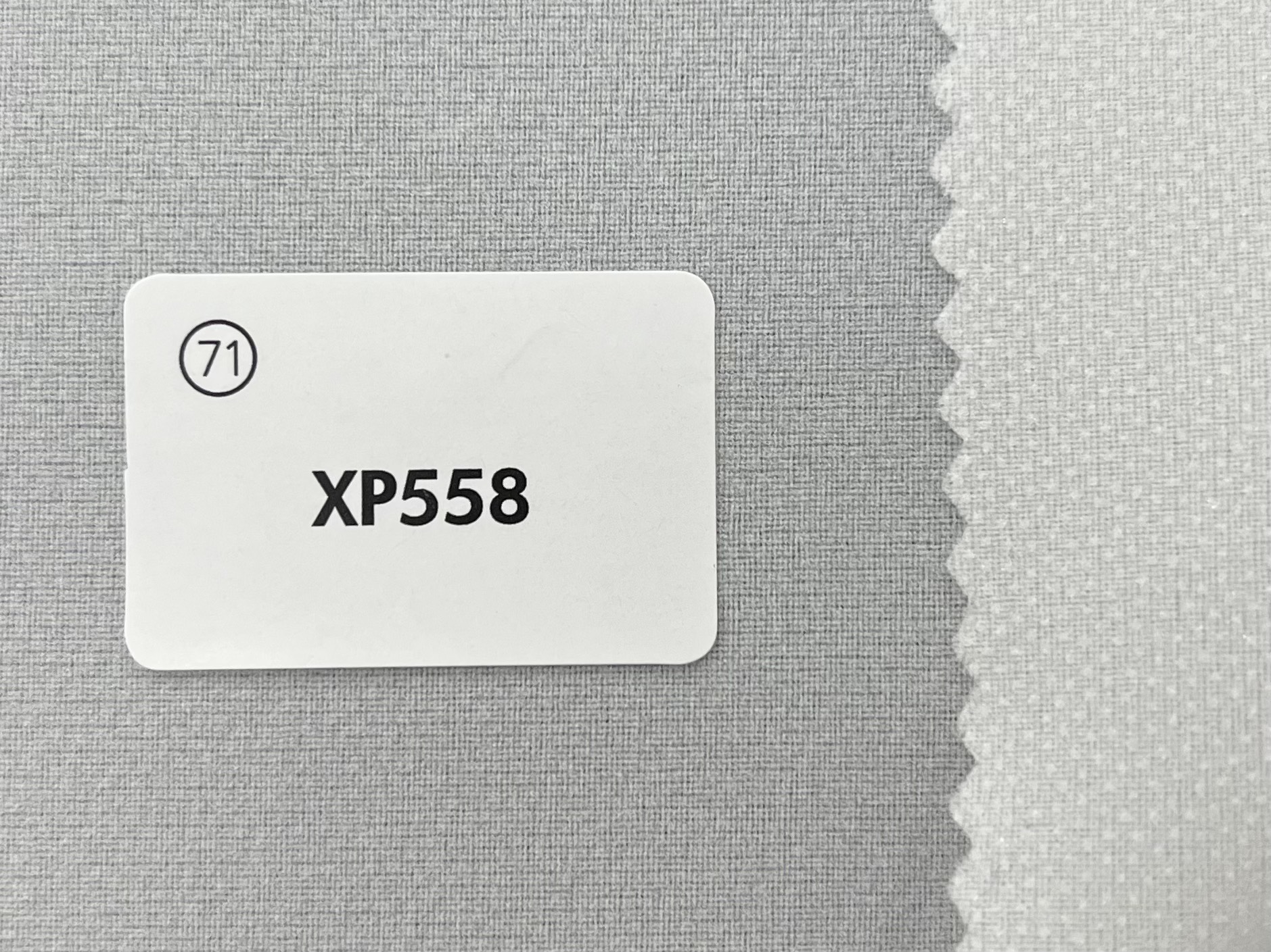 XP558